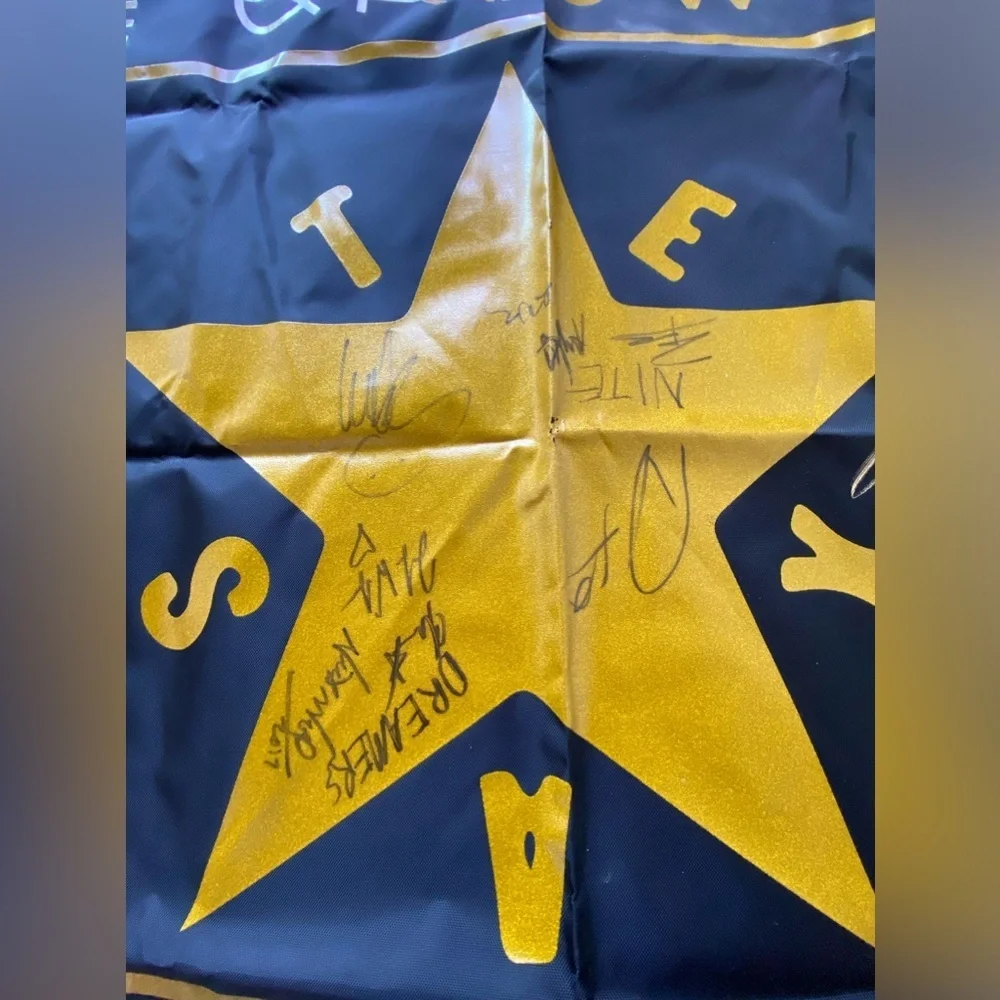 The Griswolds Flag SIGNED Autograph BANNER The Low Lives Tour 2017 🐝
